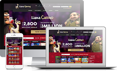 Join Llama Casino Affiliate Program