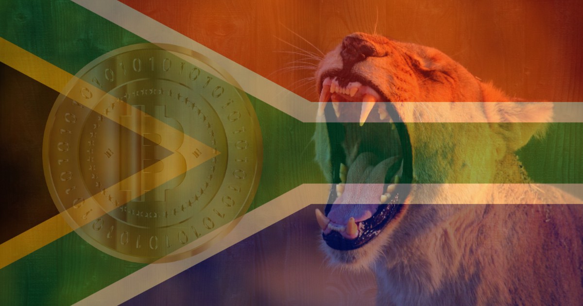 South Africa Holds Highest Crypto Ownership Ratio — Hootsuite Report